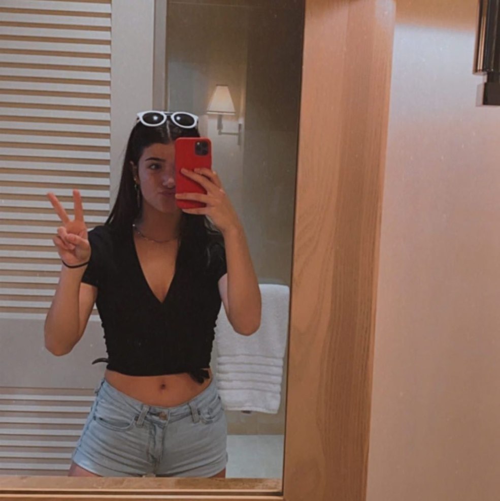 Charlie Damelio dans le miroir