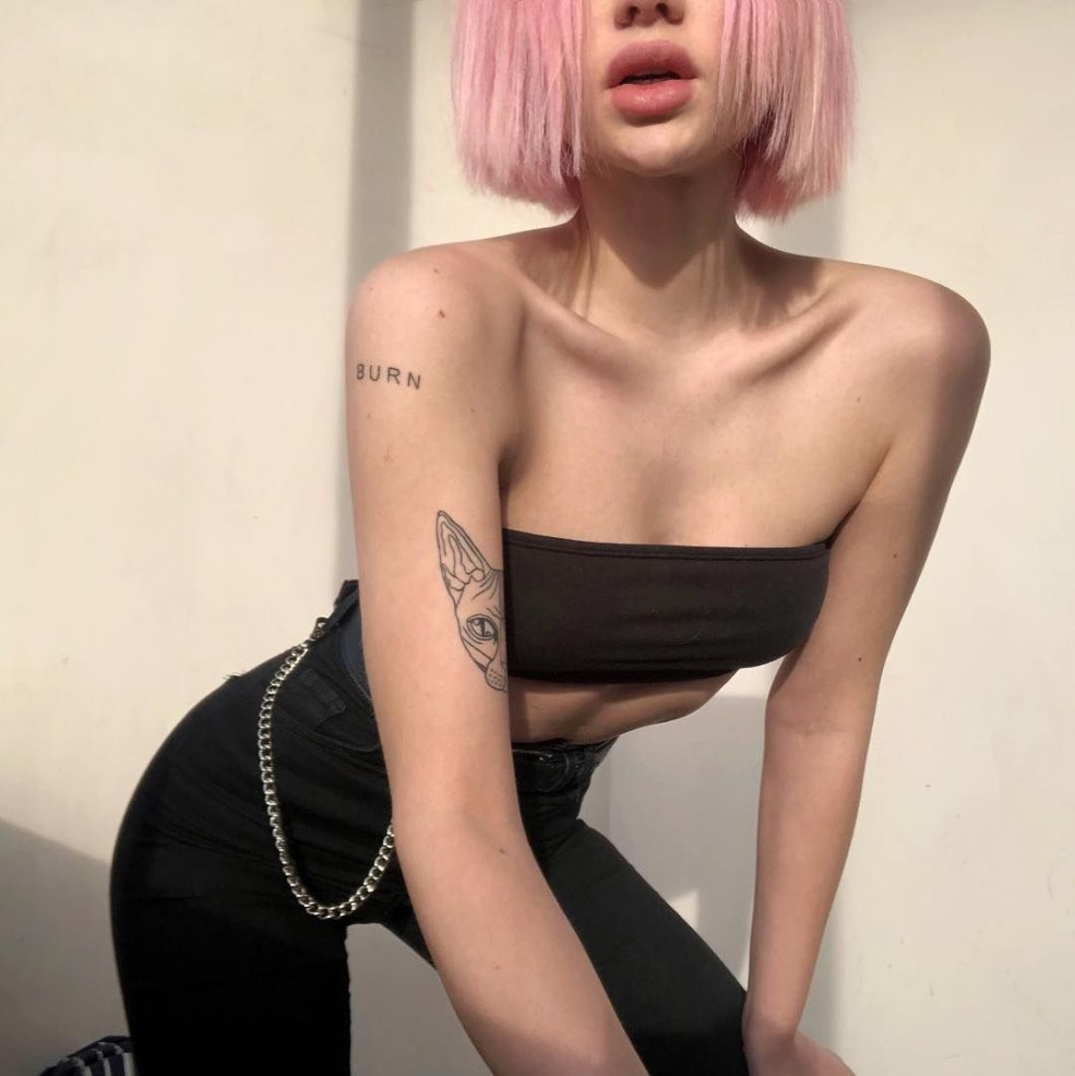 Alina olesheva cheveux roses