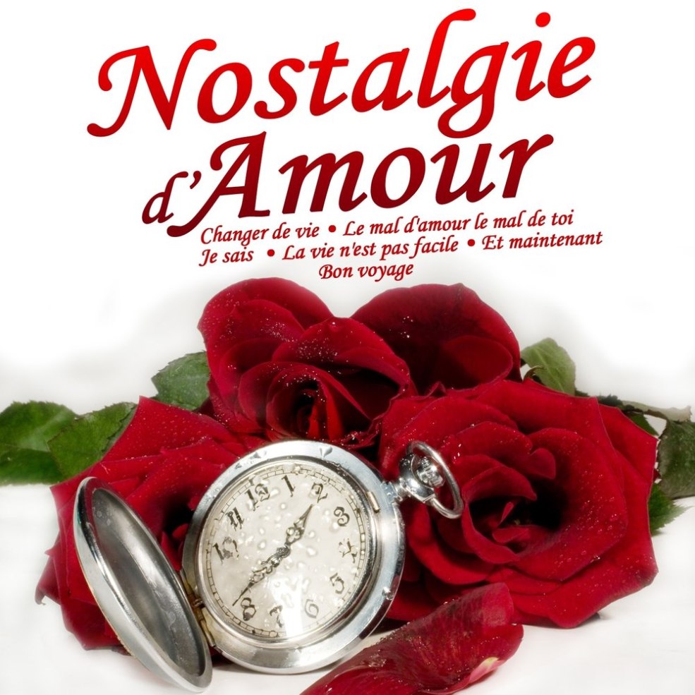 Vie d'Amour