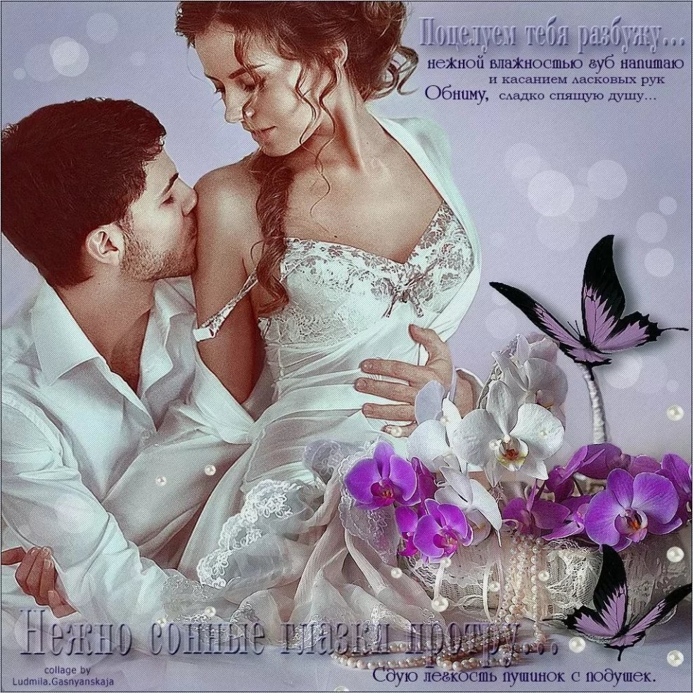 Bravl Starc Bravl 3d