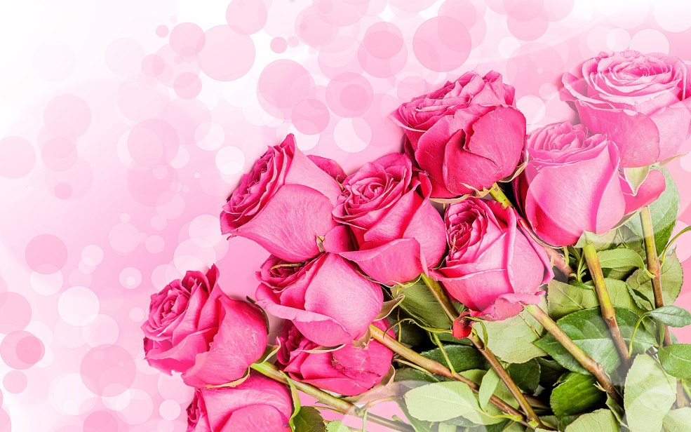 Hotte à circuit chaud rouge. Rino99