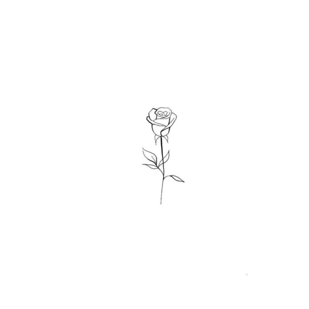 Croquis d'une petite rose