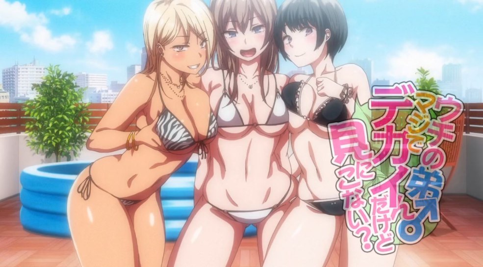 Manga uchi no otouto maji de decin dakedo mi ni konai