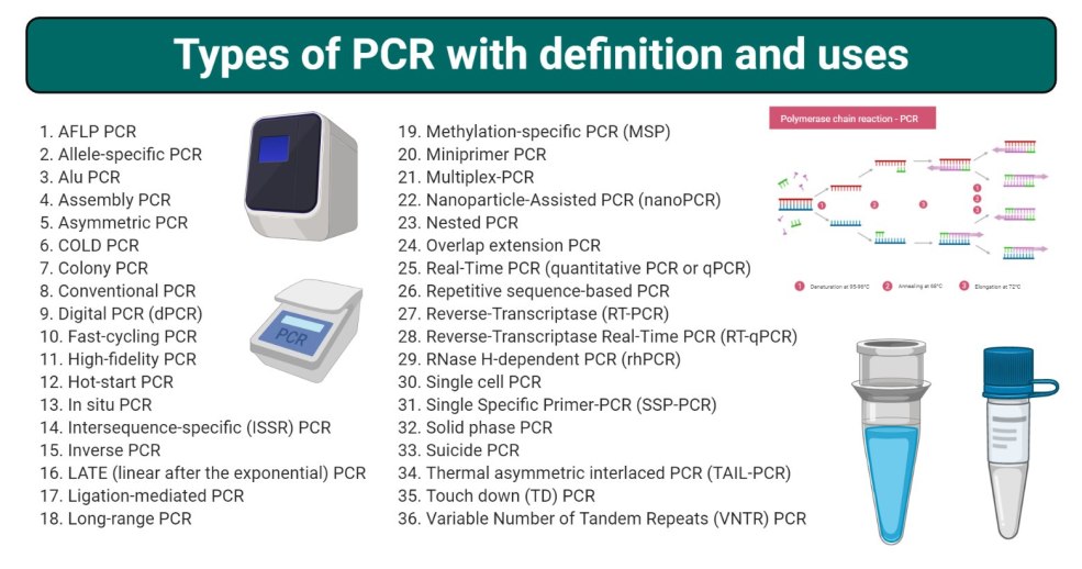 Principes de test de PCR