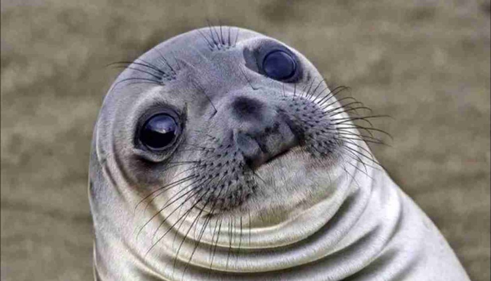 Mèmes avec des inscriptions