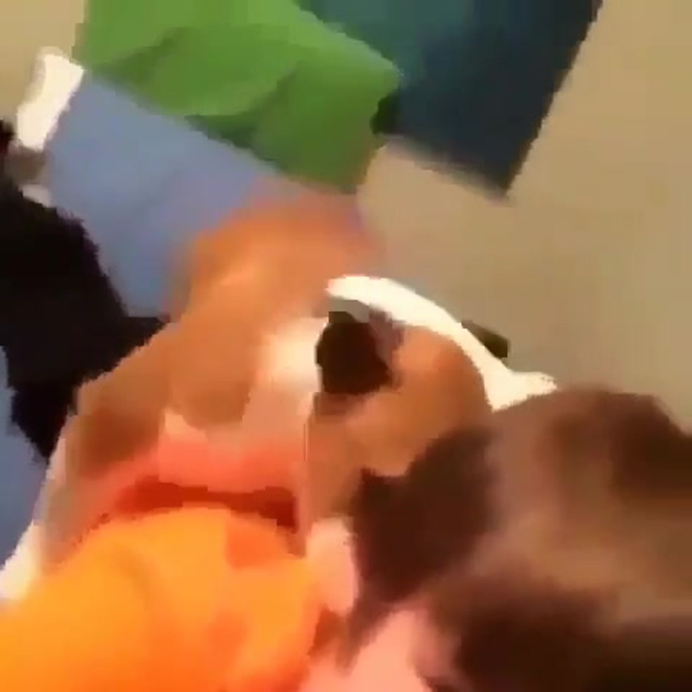 Des pleins d'écoliers de télégrammes s'écoulent