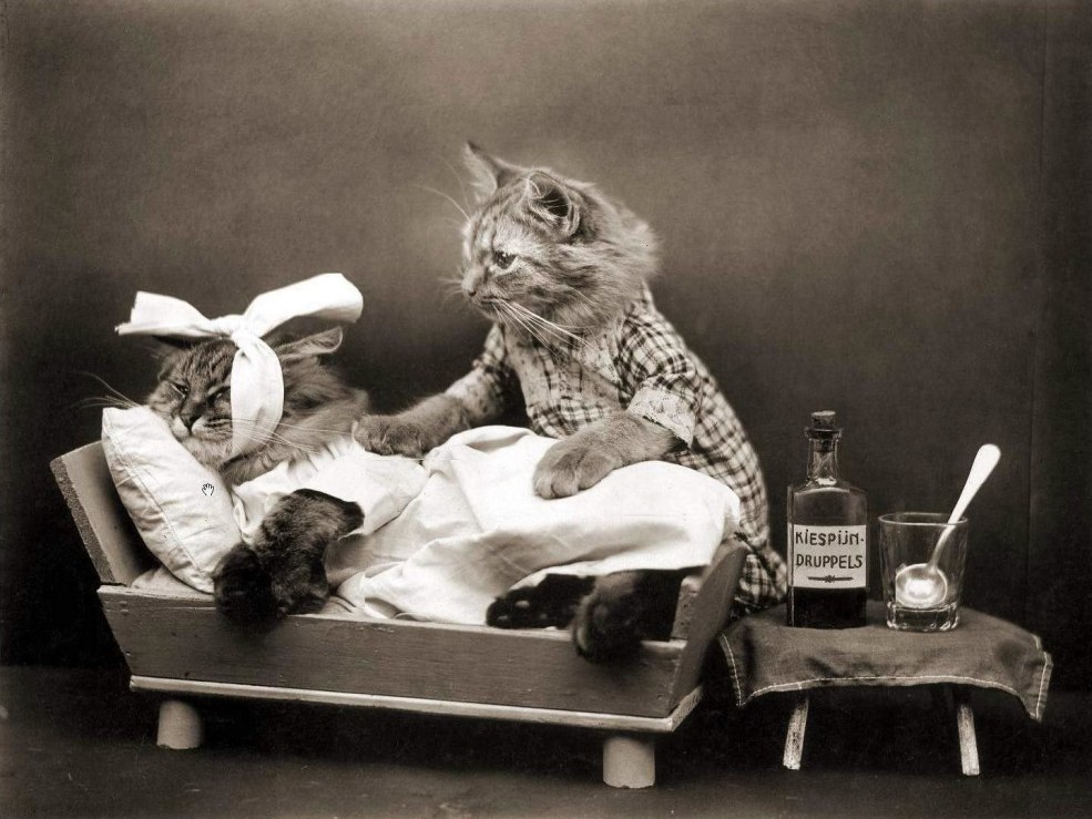 Réunions intimes secrètes