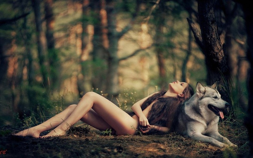 Fille avec un loup dans la forêt