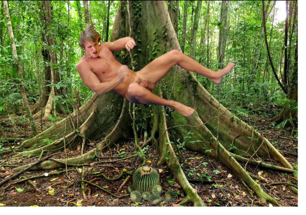 Fille érotique dans la forêt