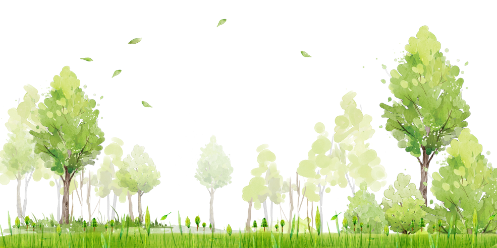 Forêt sur fond blanc