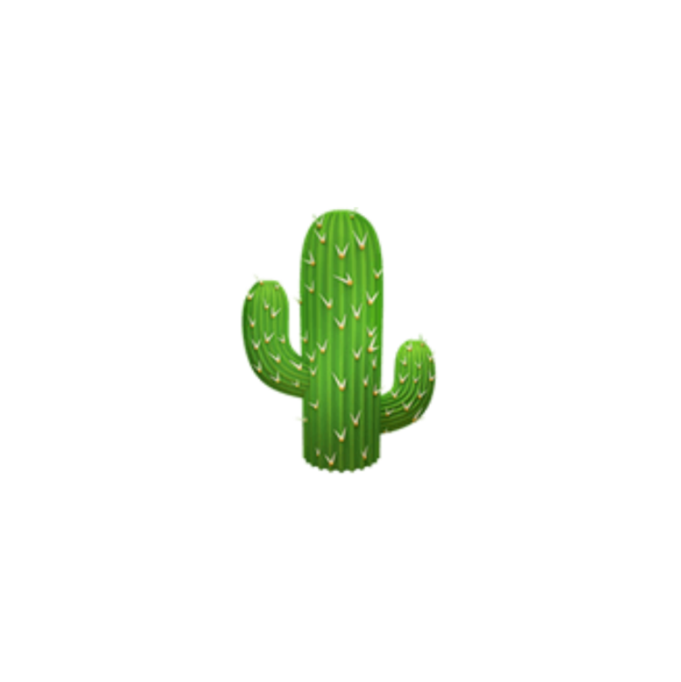 Dessin de cactus