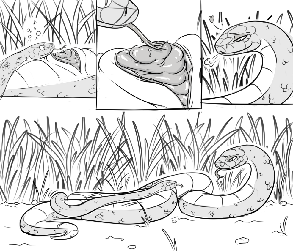 Cactus de danse Kalmar