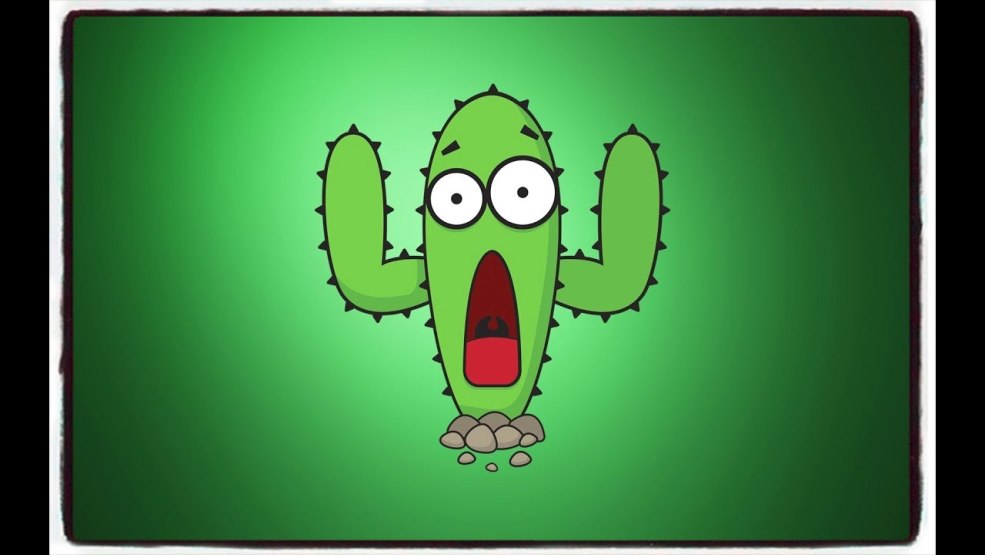 Cactus avec le visage