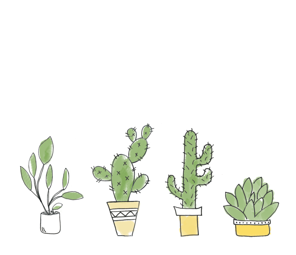 Minimalisme du cactus