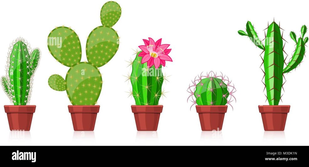 Cactus à la maternelle