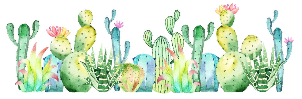 Contexte avec cactus pour un chapeau