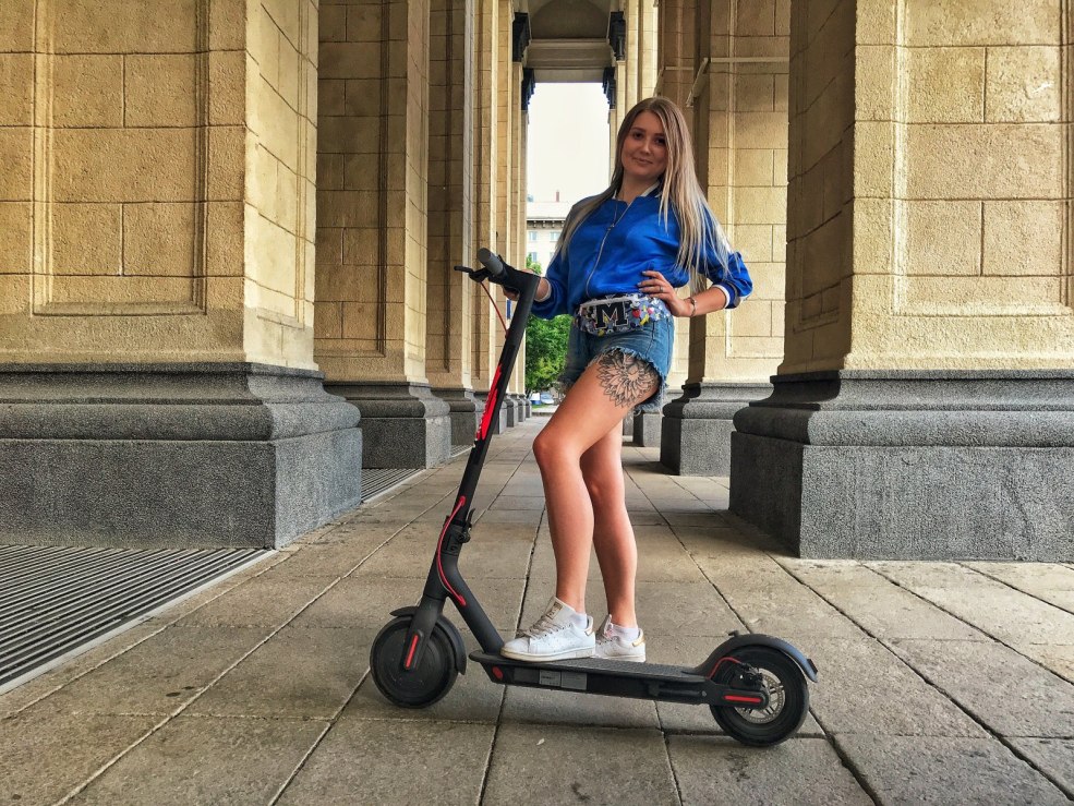 Scooter Ferris Group