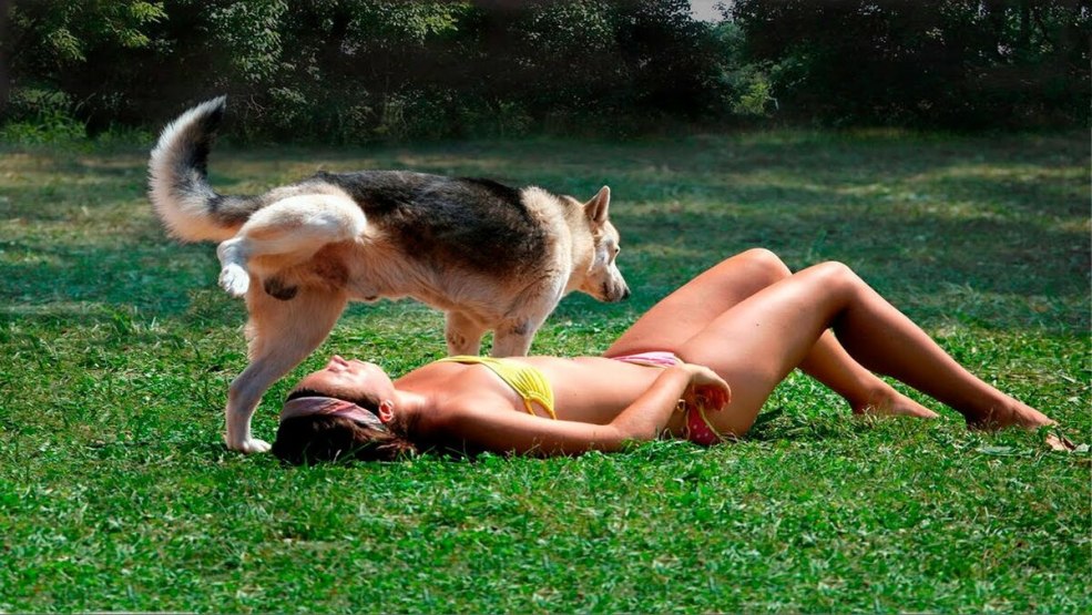 Fille et chien blague
