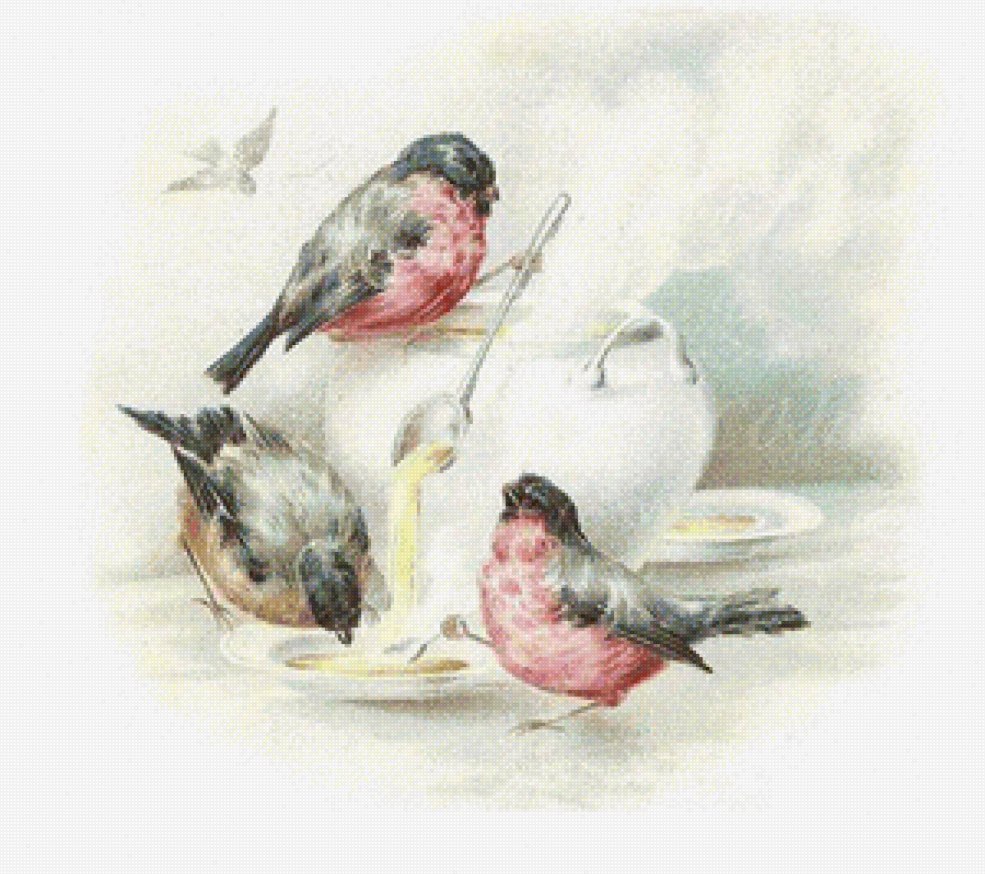 Cartes vintage de BullFinchi