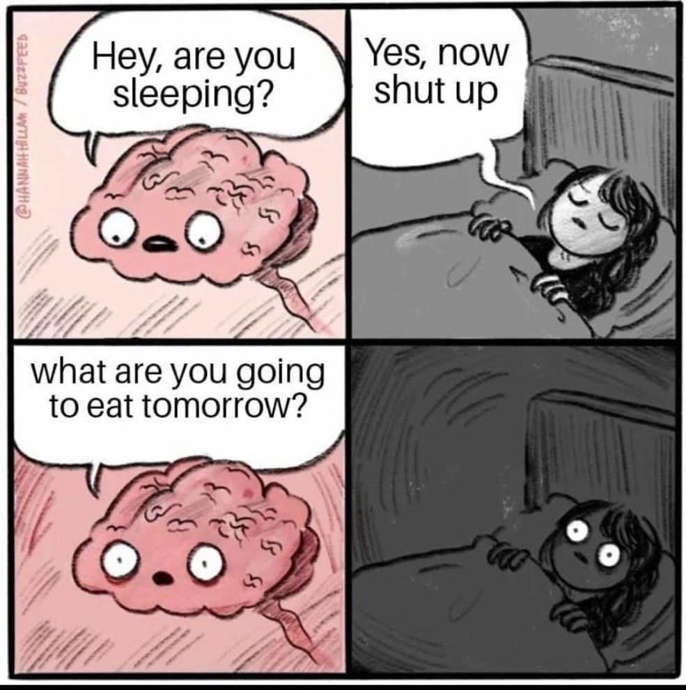 Cerveau meme avant le coucher