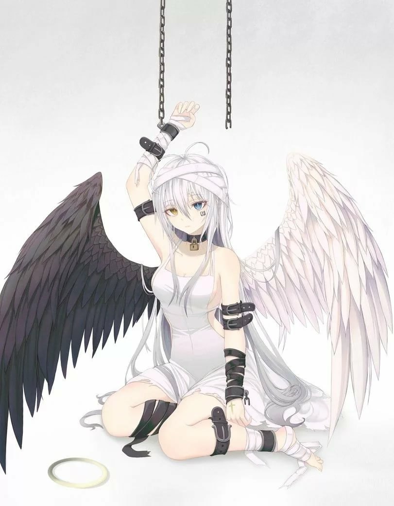 Anime de l'ange et de démon à moitié