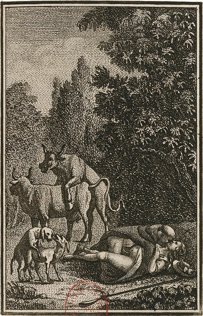 Graves de l'asteravité