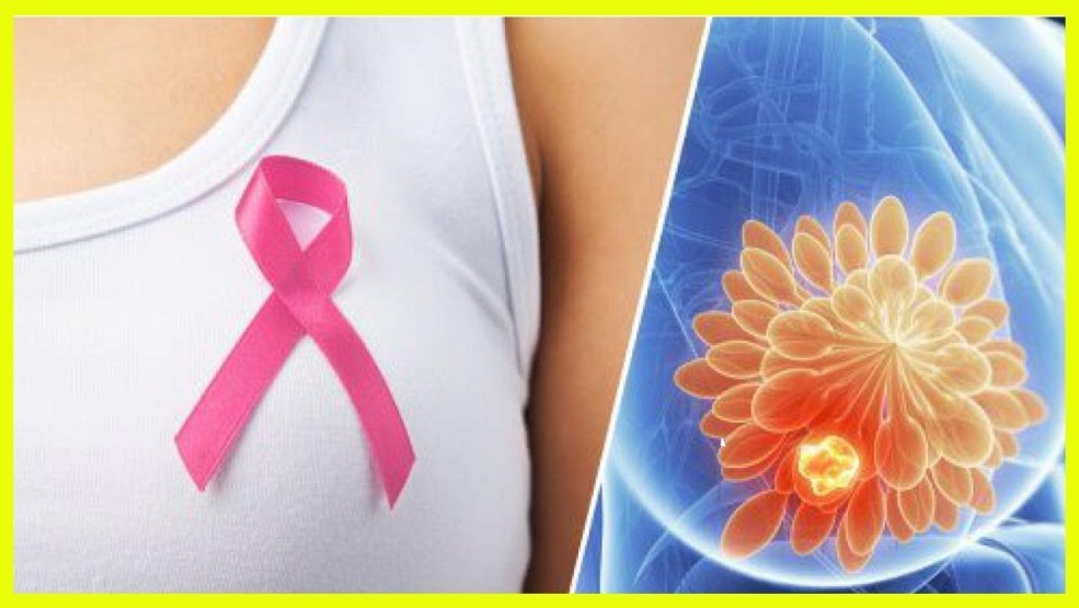 Histologie du mésenchymome