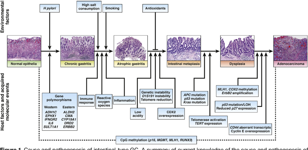 Symbole de ruban Violet