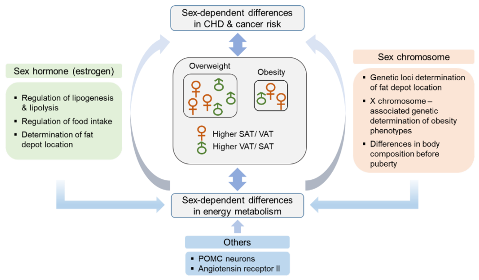 La plus ancienne profession du monde 1967