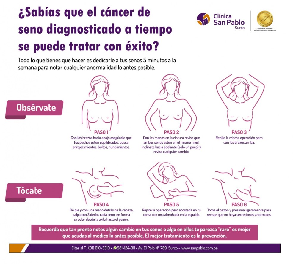 Conclusion de l'étude histologique