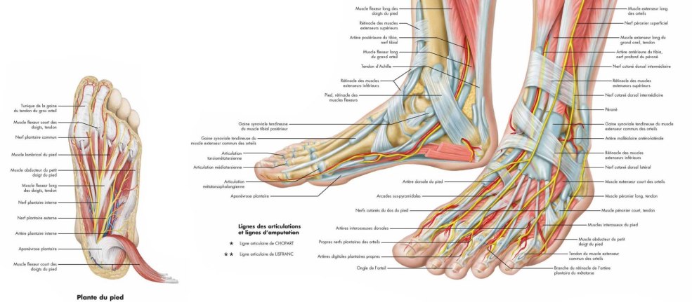 Doctorii Ginecologi a été extrait à Chisinau