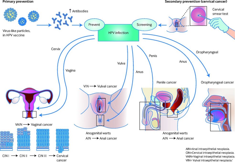 Calendrier de vaccination en Moldavie