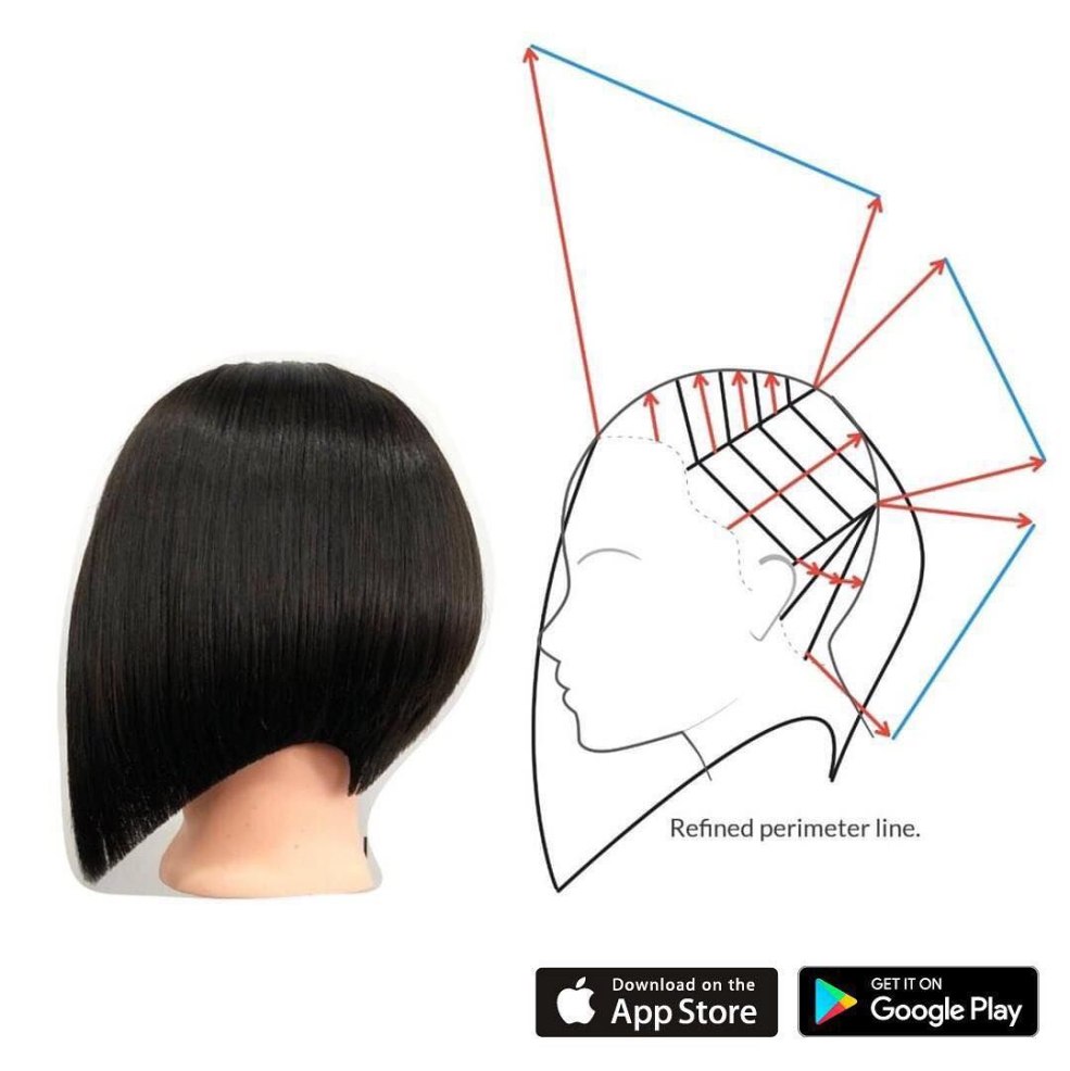 Pixie Bob avec des brins allongés