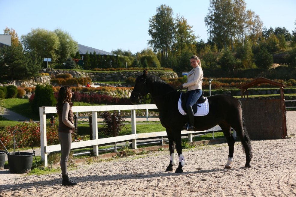 Secrets de l'enquête sur Shvetsov 2021