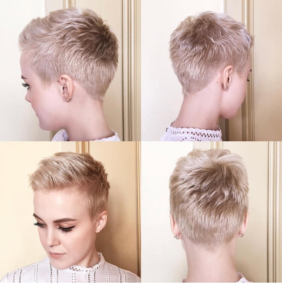 Pixie ultra infusion