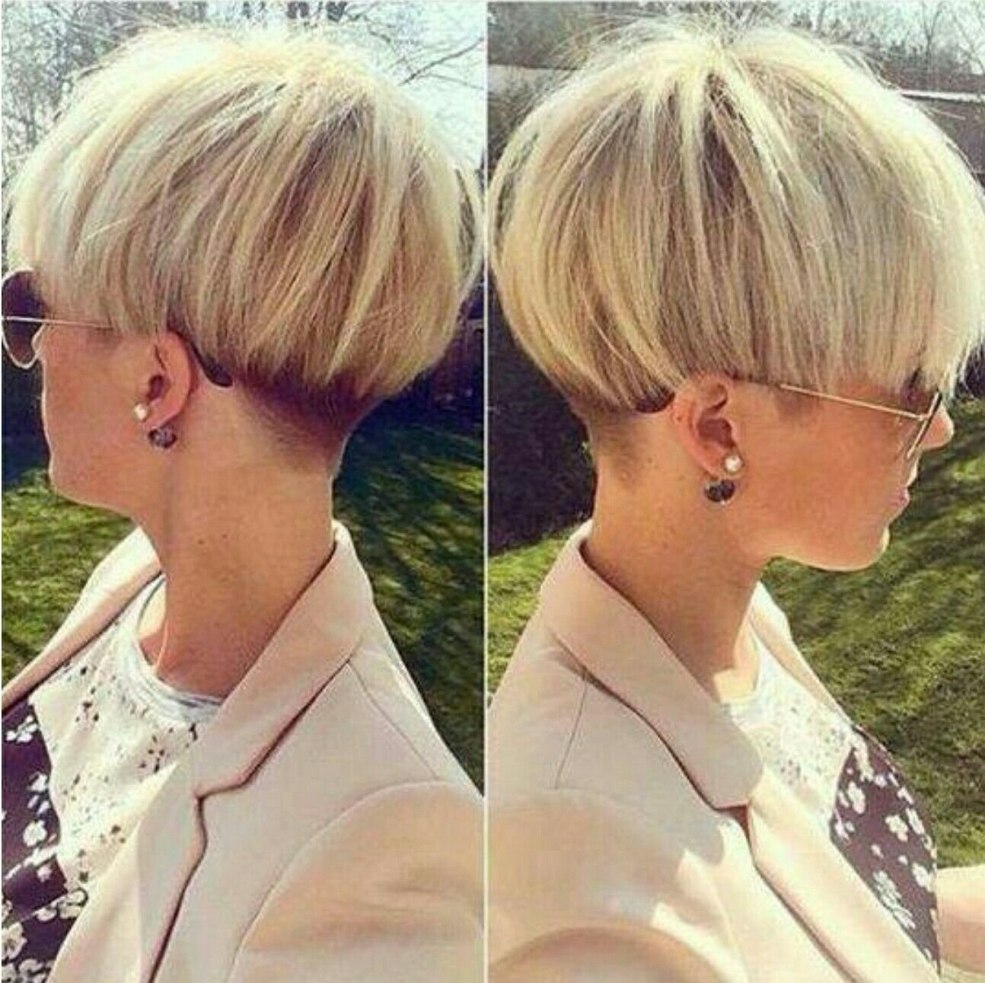 Capeur de pixie-bob de coupe