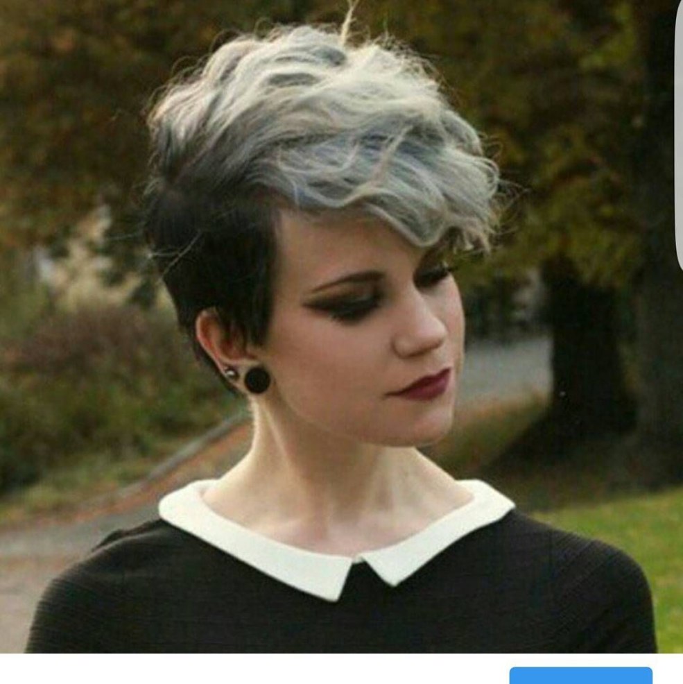 Une coupe de cheveux à cendre courte tumbo