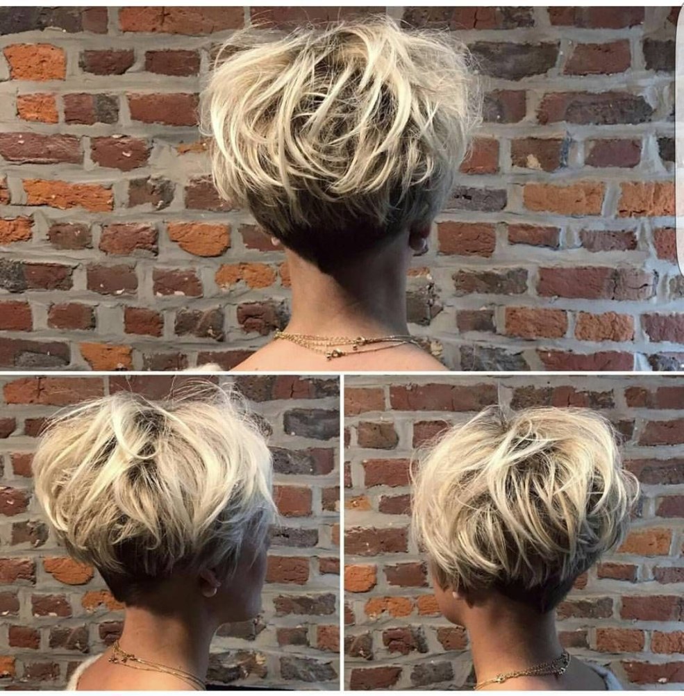 Pixie Bob Haircut Back View