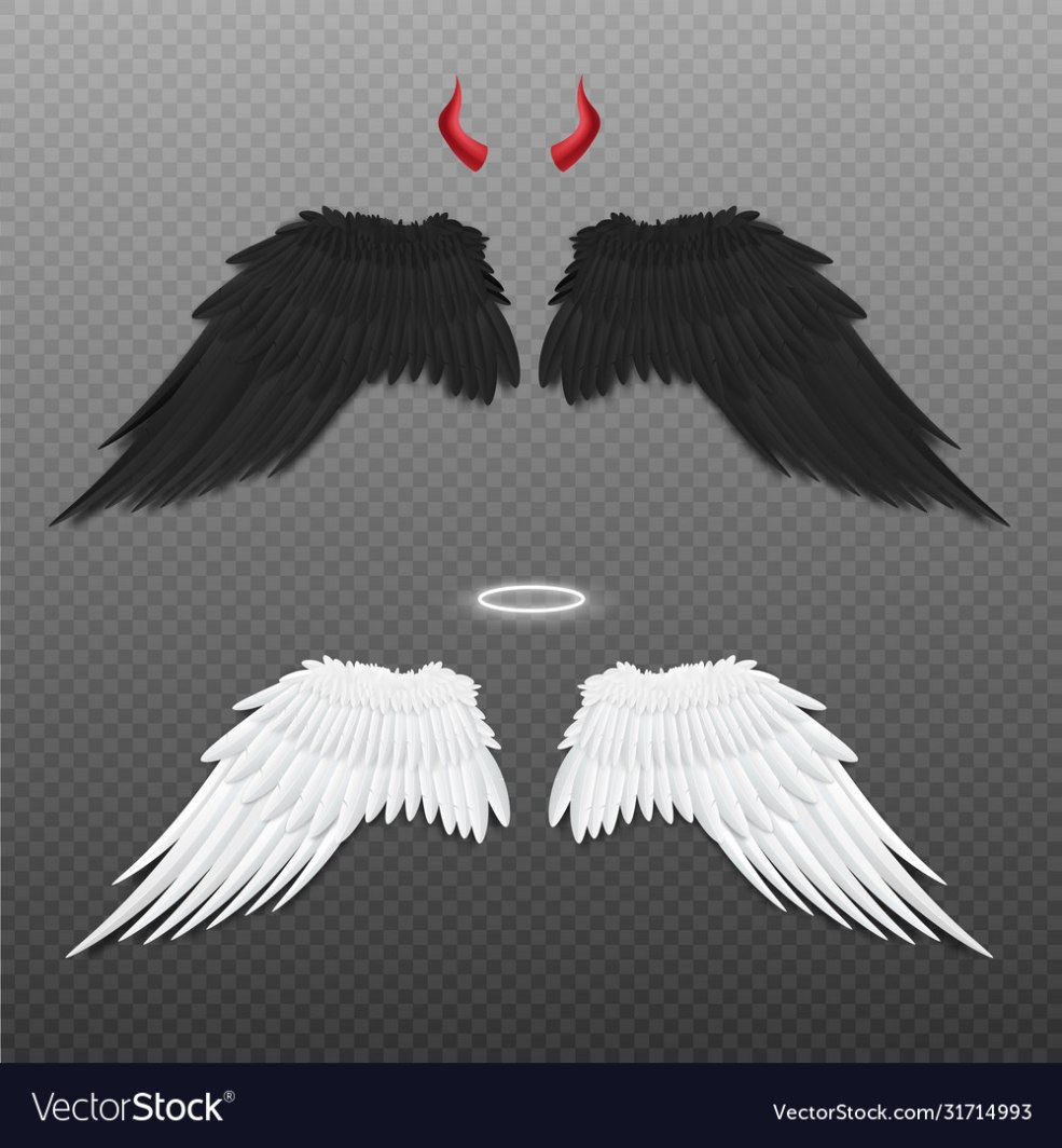 Ailes avec un halo