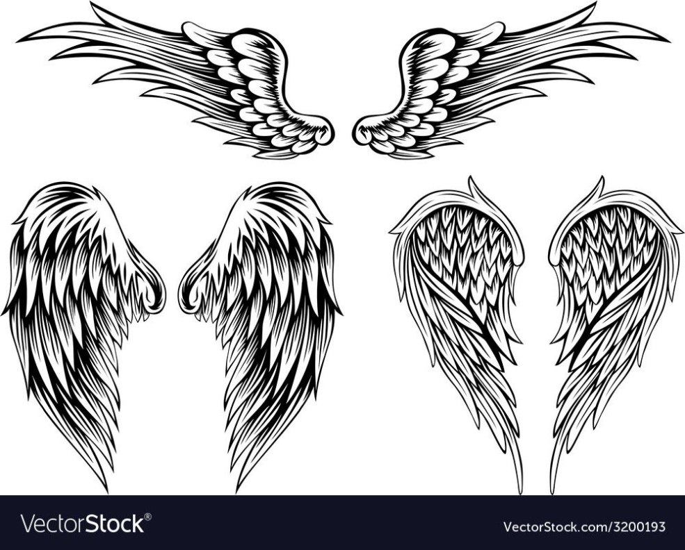Sketch de tatouage des ailes