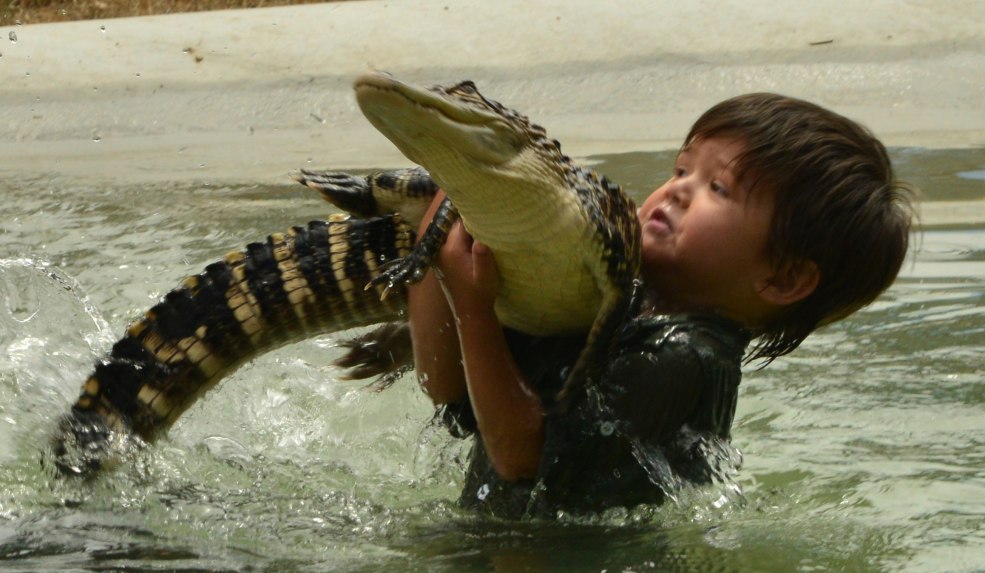 Crocodile Dundie dans la salle de bain