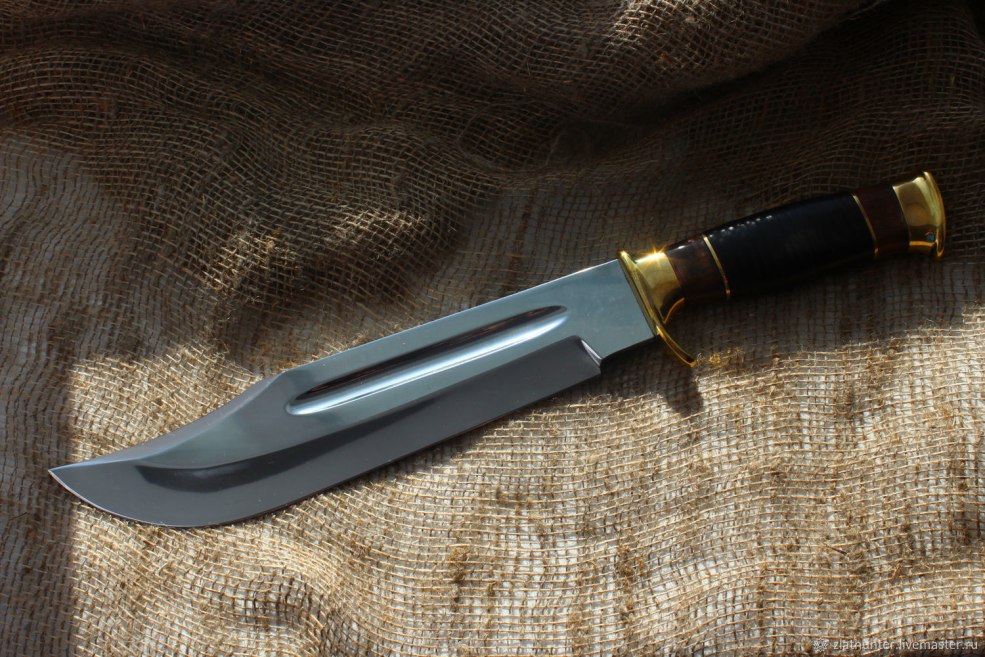 Crocodile pour les enfants