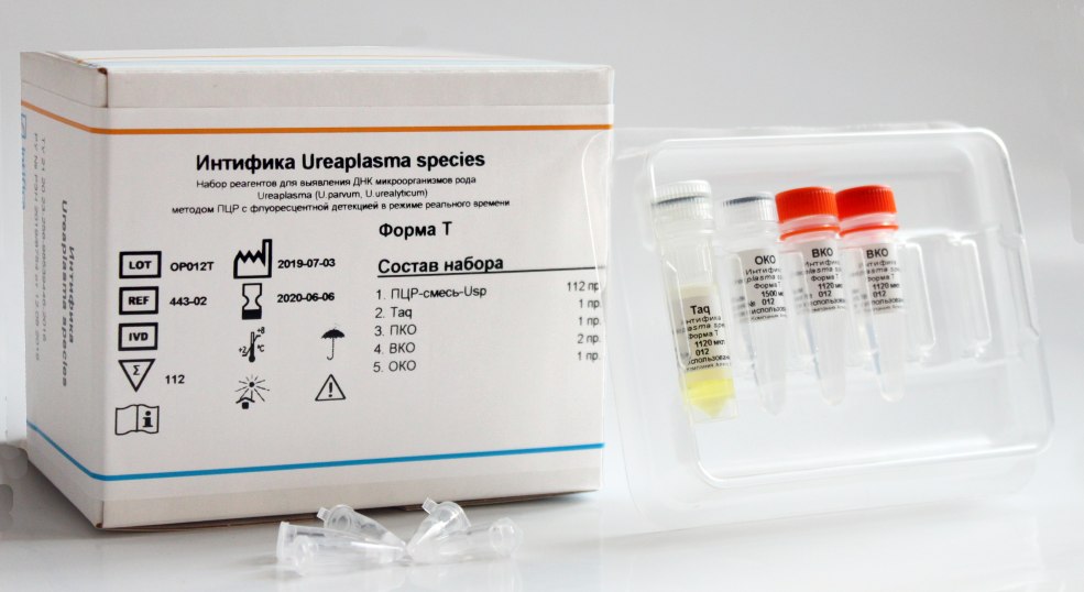 Ensemble de réactifs de PCR Synthol