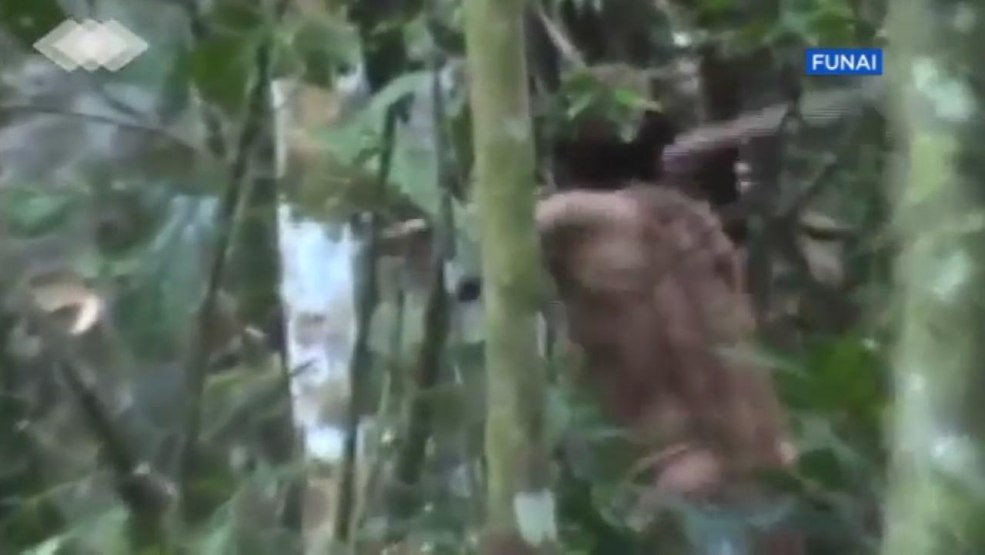 Tueur de la jungle lucide tribu mafia