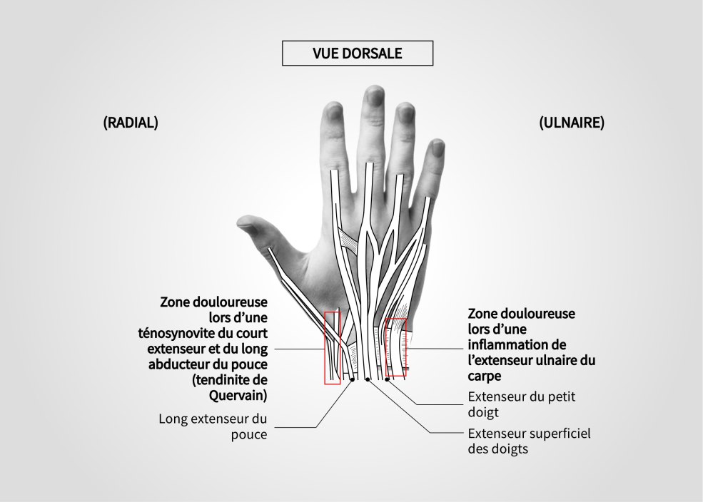 Se réveiller au lit