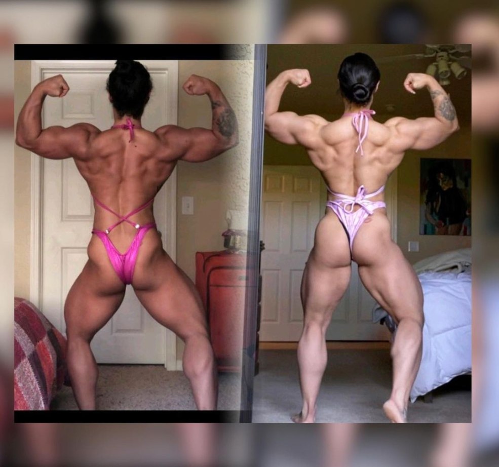 Contrôleur de charge PV LS1024RP