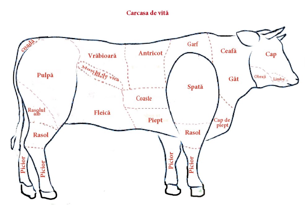 Vue T-Bone