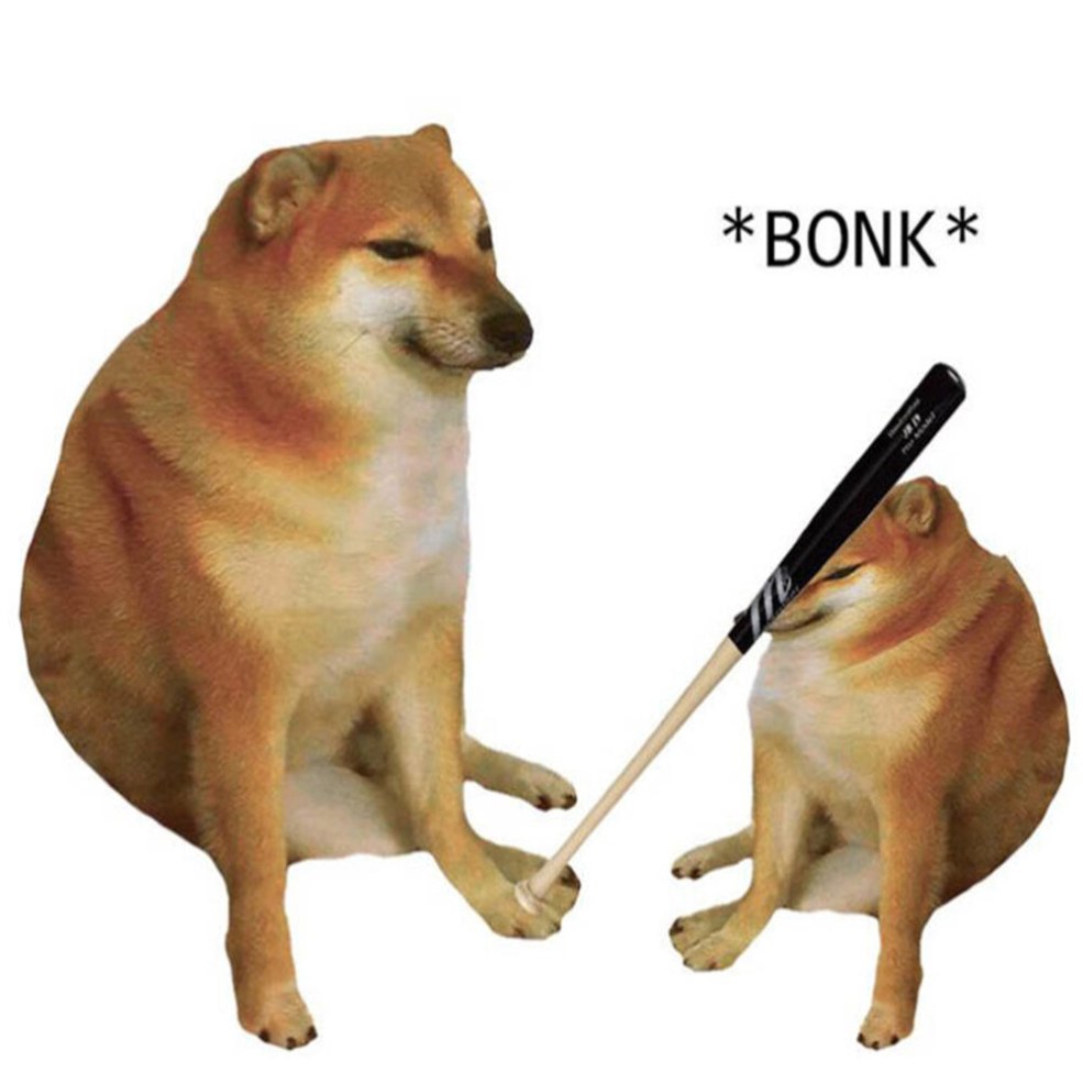 Un chien avec une batte