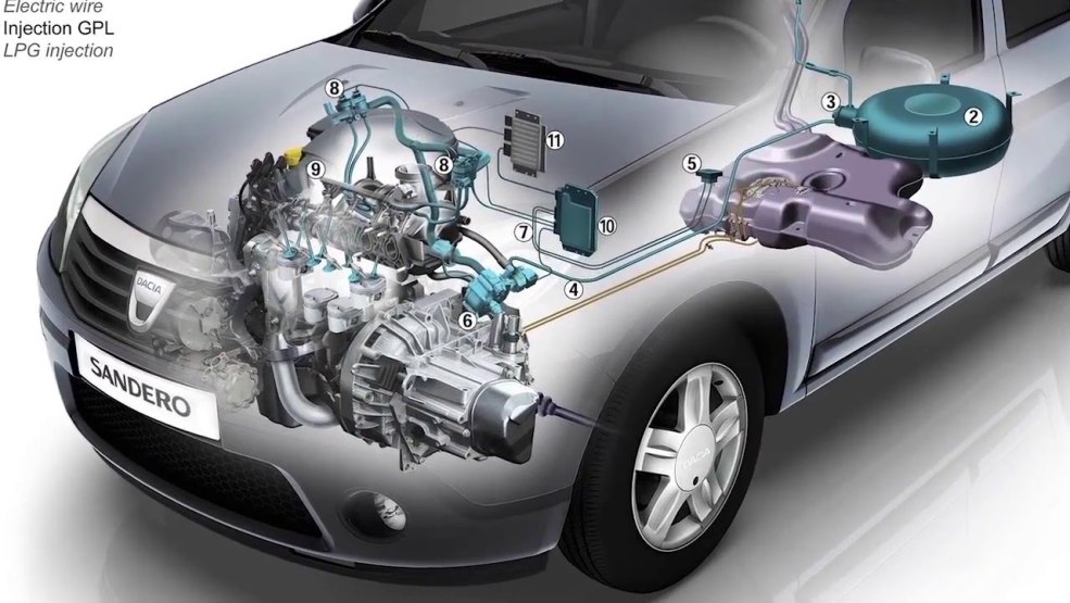 Champignons en sauce crémeuse