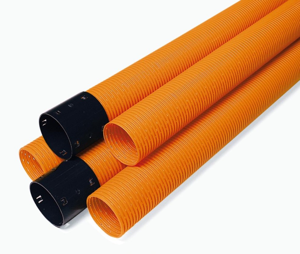 Chatte avec un coeur